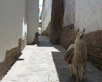 Las Siete Calles del Cusco