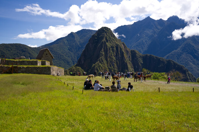 Turistas y llamas en el sector agrícola