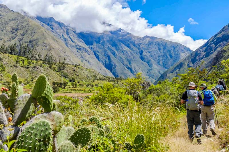 Tourists walking the Inca Trail to Machu Picchu