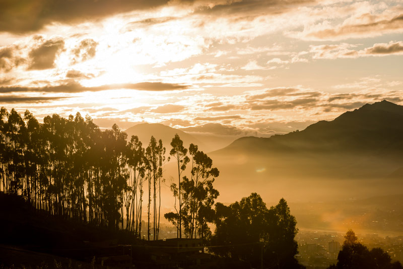 Sunrise in the Qenqo Forest