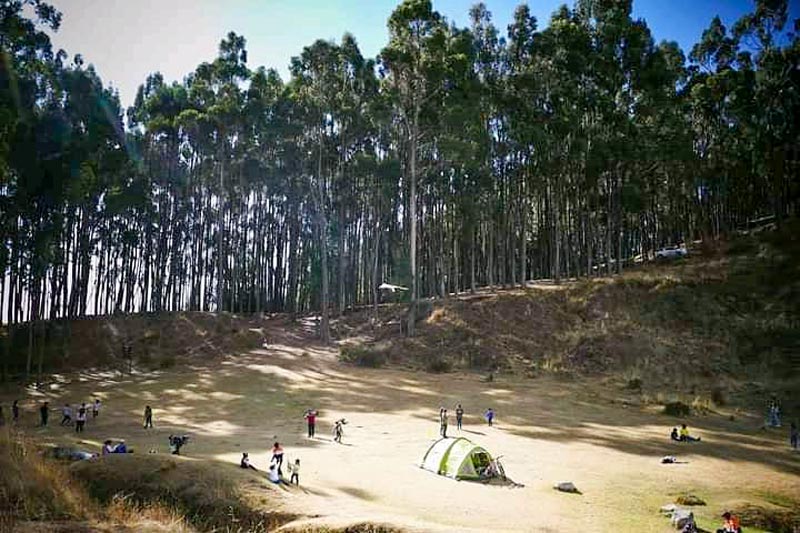 People in the Qenqo Forest